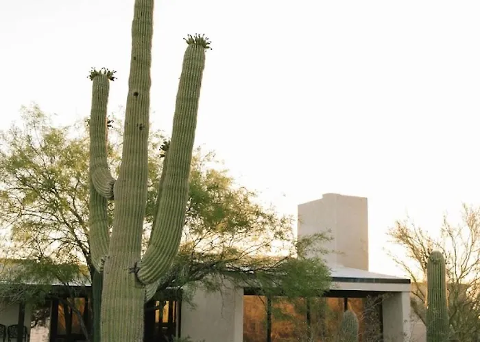 Sunrock On 8 Acres Tucson
