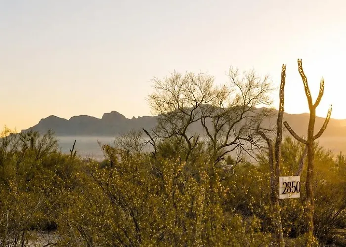 Sunrock On 8 Acres *
