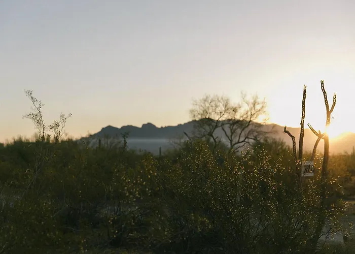 Sunrock On 8 Acres