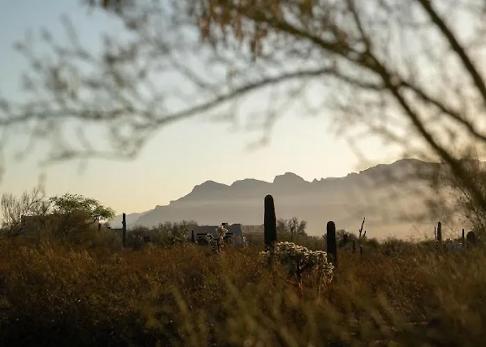 Sunrock On 8 Acres *